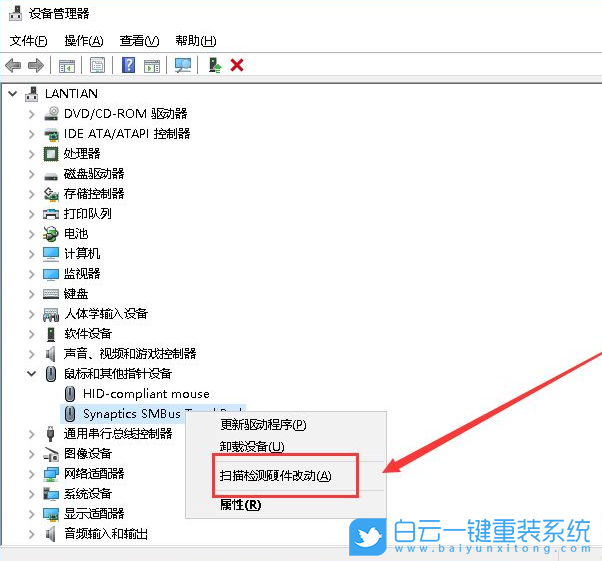 Win10,笔记本触摸板步骤