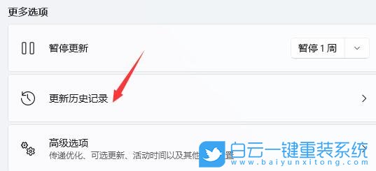 电脑闪屏,闪屏,显示器闪屏,Win11,Win11更新步骤