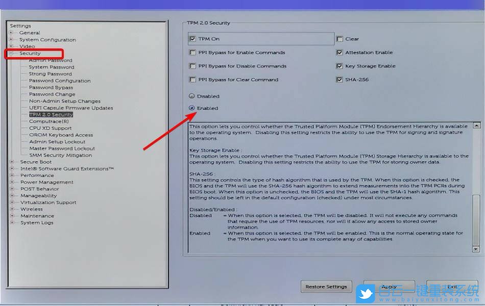 TPM,Win11,Win11初始化步骤