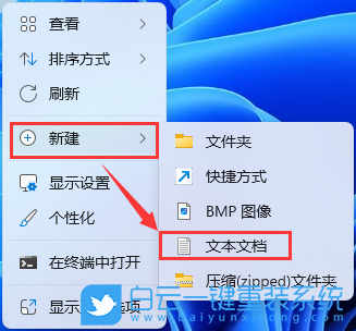 Win11,桌面文件,文件图标,白色文件步骤