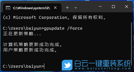 Win11,组策略,Microsoft,Store,应用更新步骤