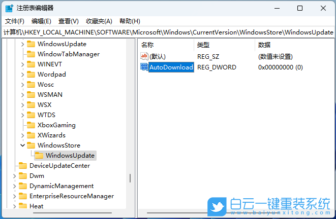 Win11,注册表,Microsoft,Store,应用更新步骤